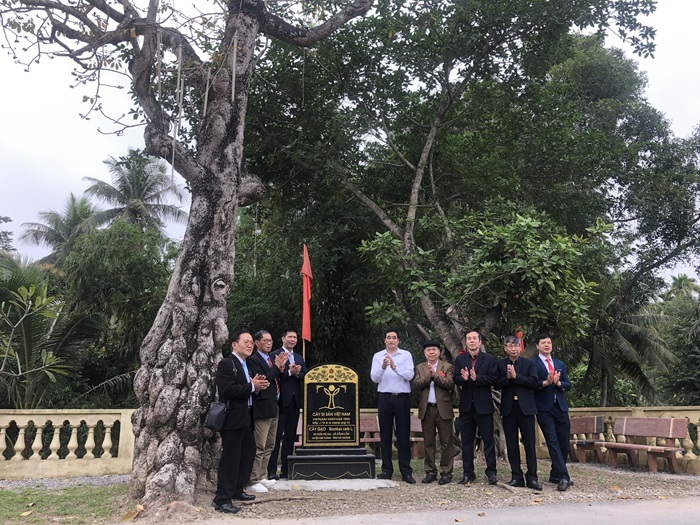 Hai[-]cây[-]cổ[-]thụ[-]gần[-]200[-]năm[-]tuổi[-]ở[-]Hải[-]Dương[-]được[-]công[-]nhận[-]Cây[-]Di[-]sản[-]Việt[-]Nam