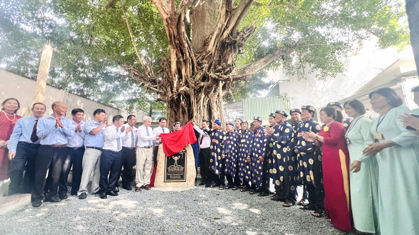 Bình[-]Dương:[-]Đình[-]thần[-]Tương[-]Bình[-]Hiệp:đón[-]bằng[-]công[-]nhận[-]“Cây[-]di[-]sản[-]Việt[-]Nam”[-]đối[-]với[-]cây[-]Kơ[-]-[-]nia[-]và[-]cây[-]đa
