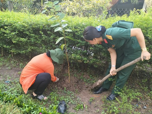 Đảm[-]bảo[-]trồng[-]đủ[-]số[-]lượng[-]cây[-]xanh[-]trên[-]địa[-]bàn[-]tỉnh[-]Hậu[-]Giang
