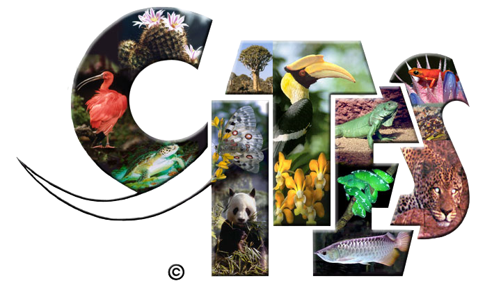 Mong[-]muốn[-]của[-]Việt[-]Nam[-]bên[-]thềm[-]Hội[-]nghị[-]các[-]nước[-]thành[-]viên[-]CITES[-]lần[-]thứ[-]18