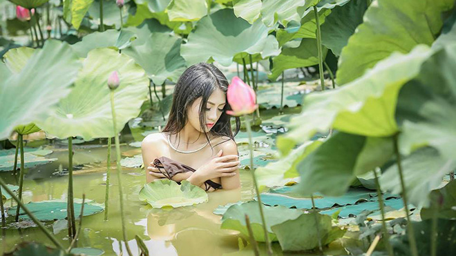 Cô[-]gái[-]chụp[-]ảnh[-]khỏa[-]thân[-]dưới[-]hồ[-]sen[-]bị[-]cư[-]dân[-]mạng[-]"ném[-]đá"[-]dữ[-]dội