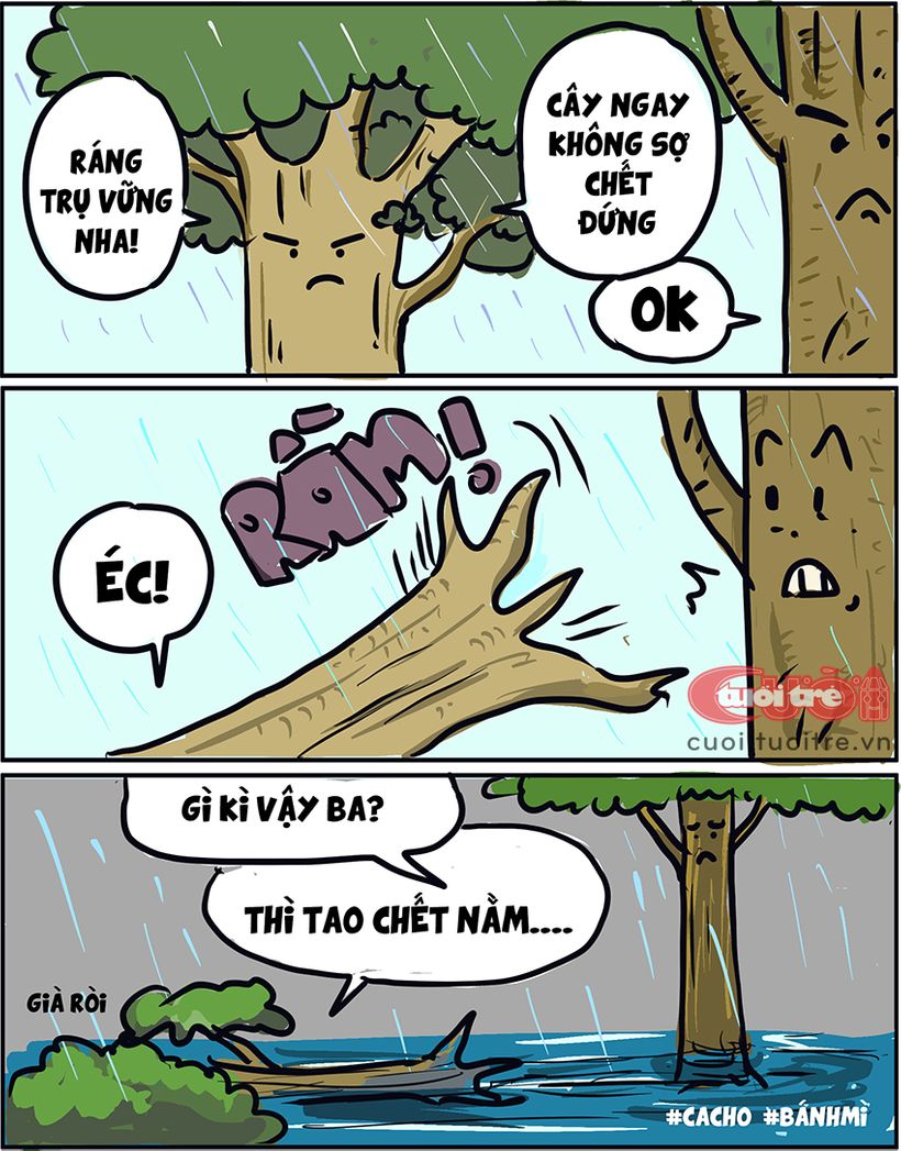 Cây[-]ngay[-]sao[-]phải[-]sợ[-]chết[-]đứng!?