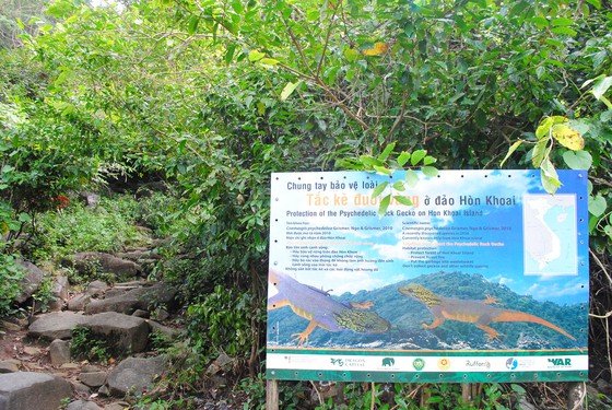 Cà[-]Mau[-]thành[-]lập[-]khu[-]rừng[-]bảo[-]tồn[-]cụm[-]đảo[-]Hòn[-]Khoai[-]-[-]Hòn[-]Chuối