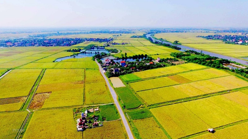 Cần[-]sớm[-]giải[-]quyết[-]tình[-]trạng[-]người[-]dân[-]thiếu[-]đất[-]sản[-]xuất