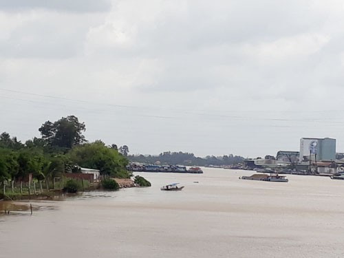 Tiếng[-]kêu[-]tuyệt[-]vọng[-]từ[-]sông[-]Đồng[-]Nai