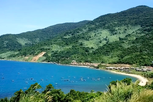 Viết[-]tâm[-]thư[-]gửi[-]Thủ[-]tướng[-]cứu[-]Sơn[-]Trà,[-]Chủ[-]tịch[-]HHDL[-]gặp[-]rắc[-]rối