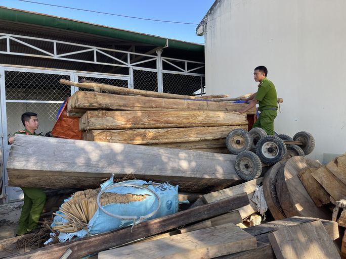 Lâm[-]tặc[-]hạ[-]gỗ[-]quý[-]gần[-]chốt[-]bảo[-]vệ[-]rừng