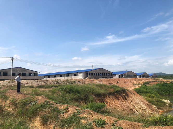 Xử[-]lý[-]trang[-]trại[-]heo[-]“khủng"[-]không[-]phép[-]sát[-]lòng[-]hồ[-]Trị[-]An
