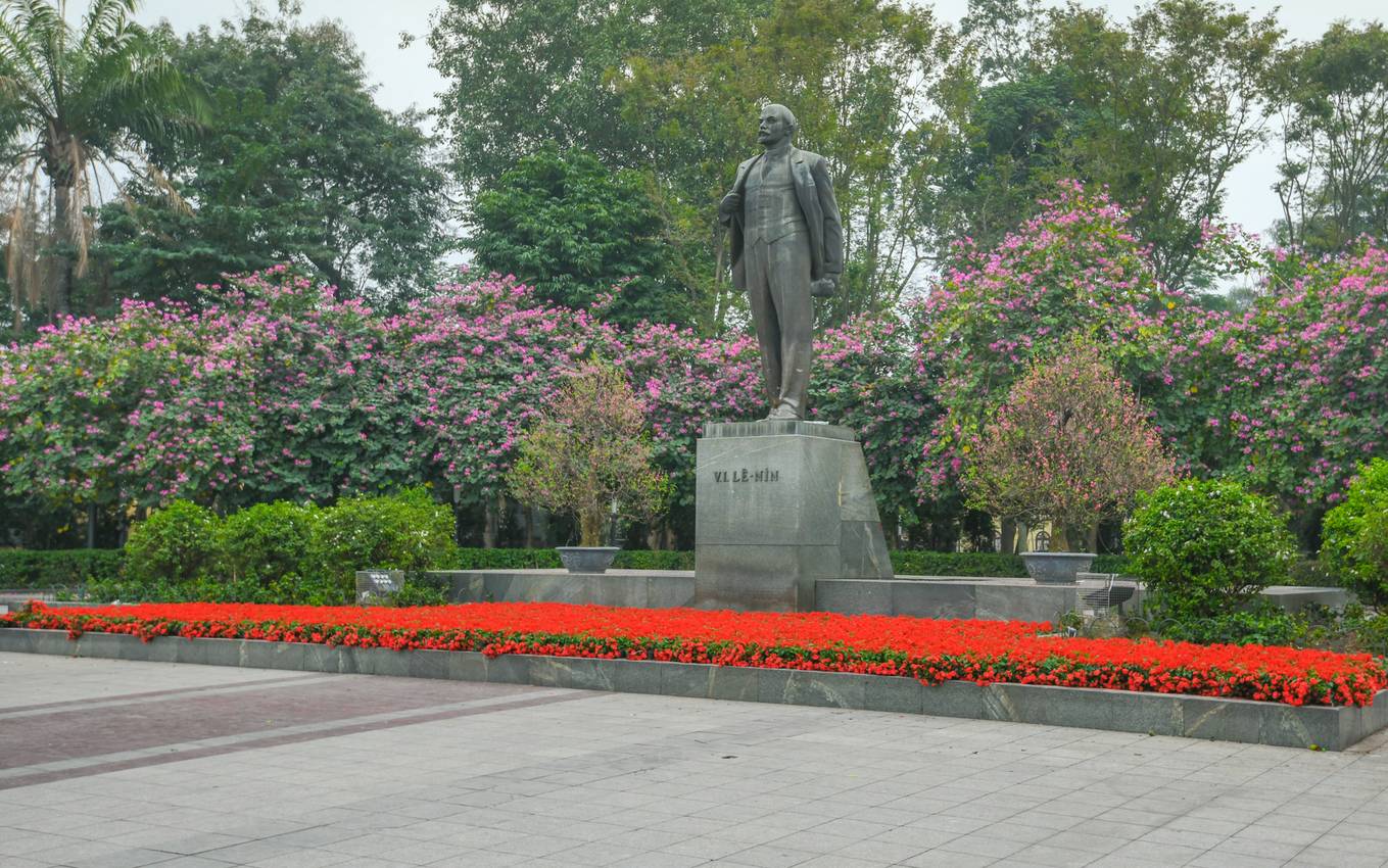 Hoa[-]ban[-]nở[-]sớm[-]khoe[-]sắc[-]giữa[-]trời[-]xuân[-]Hà[-]Nội