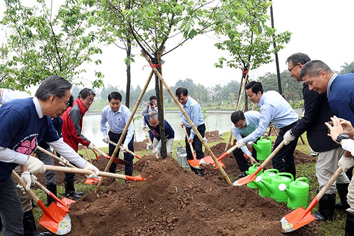 Trồng[-]thêm[-]1.000[-]cây[-]hoa[-]anh[-]đào[-]tại[-]Công[-]viên[-]Hòa[-]Bình,[-]Hà[-]Nội