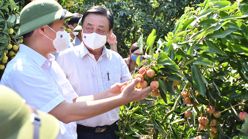 Bộ[-]trưởng[-]Lê[-]Minh[-]Hoan:[-]Nền[-]nông[-]nghiệp[-]mù[-]mờ[-]dẫn[-]đến[-]phải[-]giải[-]cứu[-]nông[-]sản