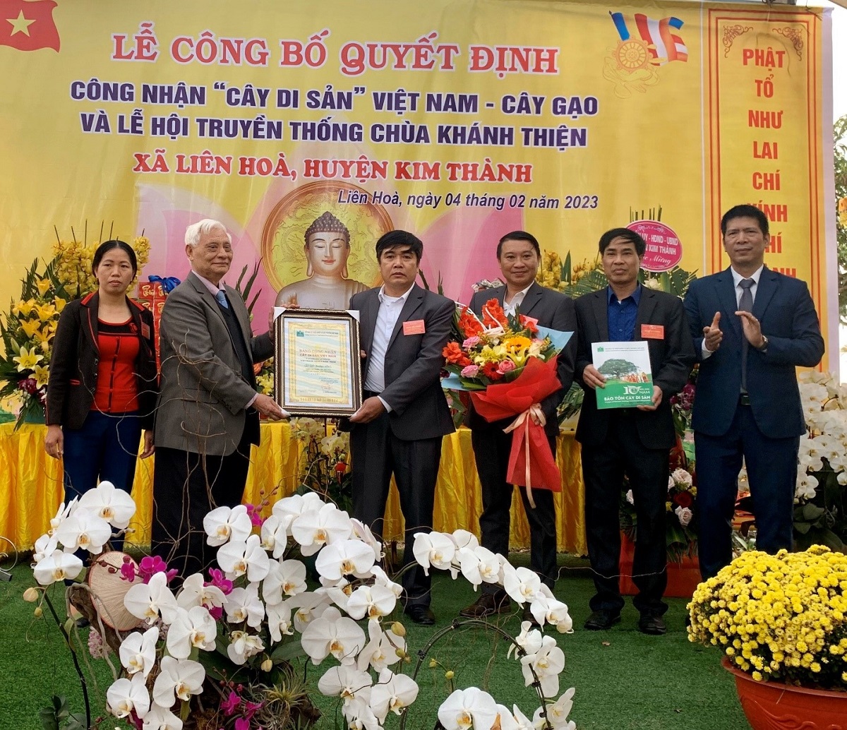 Cây[-]gạo[-]cổ[-]thụ[-]được[-]công[-]nhận[-]Cây[-]Di[-]sản[-]Việt[-]Nam