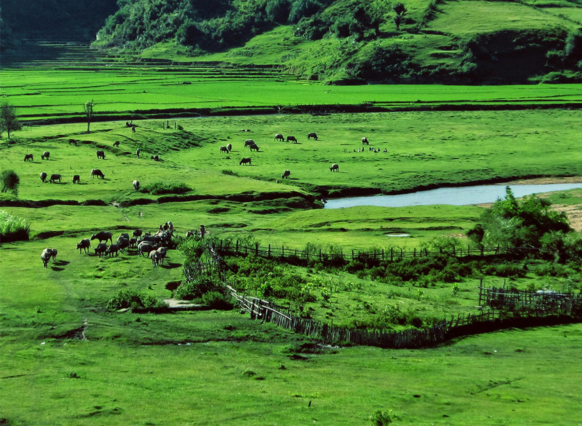 Kon[-]Tum[-]kêu[-]gọi[-]đầu[-]tư[-]2[-]sân[-]golf[-]với[-]tổng[-]diện[-]tích[-]gần[-]174[-]ha