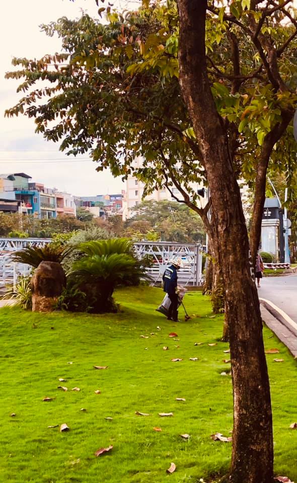 Sáng[-]kiến[-]dọn[-]lá[-]rụng
