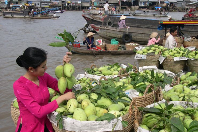 Hội[-]nghị[-]toàn[-]thể[-]Ủy[-]ban[-]sông[-]Mê[-]Công[-]Việt[-]Nam[-]