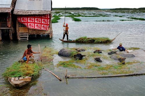 [-]Định[-]giá[-]tổn[-]thất[-]thiệt[-]hại[-]do[-]tác[-]động[-]của[-]Biến[-]đổi[-]khí[-]hậu