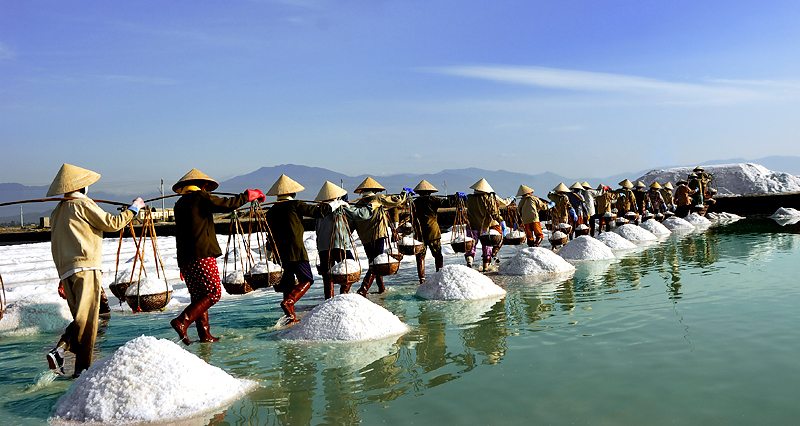 Mối[-]lo[-]"gác[-]cửa"[-]môi[-]trường