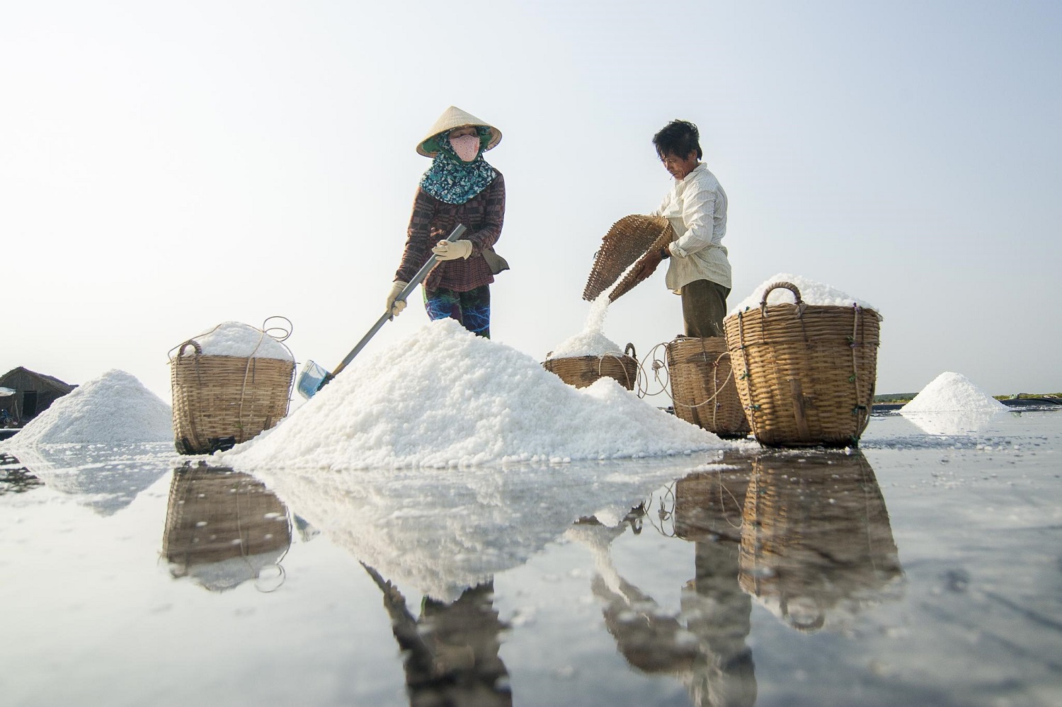 Trên[-]cánh[-]đồng[-]muối[-]trắng