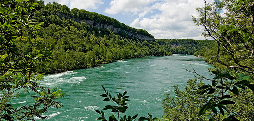 [-]Hệ[-]sinh[-]thái[-]sông[-]Niagara[-]đứng[-]trước[-]nguy[-]cơ[-]mới