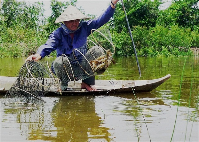 Xây[-]dựng[-]vùng[-]nuôi[-]tôm[-]sinh[-]thái[-]có[-]chứng[-]chỉ[-]quốc[-]tế[-]