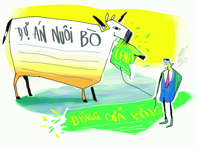 Phú[-]Yên[-]chủ[-]trương[-]"phá[-]rừng[-]để[-]nuôi[-]bò"