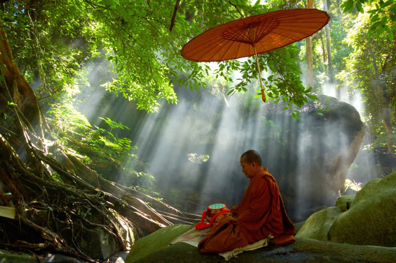 Quan[-]niệm[-]của[-]đạo[-]Phật[-]về[-]thiên[-]nhiên