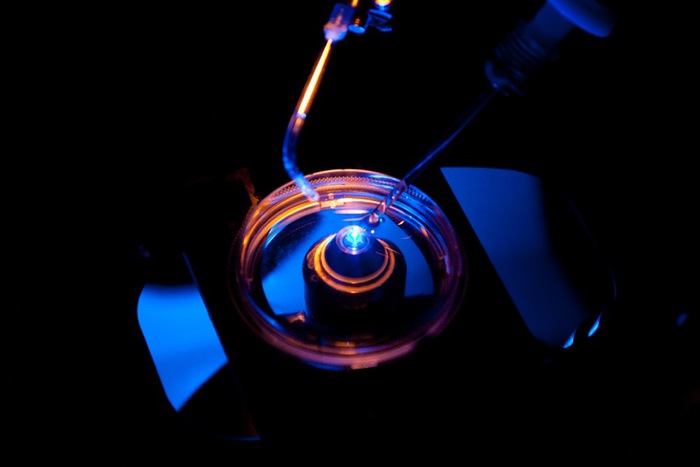 Phát[-]hiện[-]tác[-]dụng[-]giảm[-]đau[-]của[-]ánh[-]sáng[-]xanh[-]