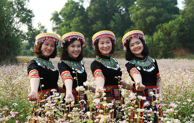 Cánh[-]đồng[-]hoa[-]tam[-]giác[-]mạch[-]nở[-]rộ[-]tại[-]Hà[-]Nội