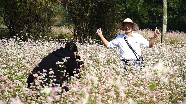 Cánh[-]đồng[-]hoa[-]tam[-]giác[-]mạch[-]nở[-]rộ[-]tại[-]Hà[-]Nội