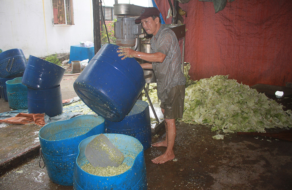 Gom[-]rác[-]làm…[-]cải[-]bắc[-]thảo