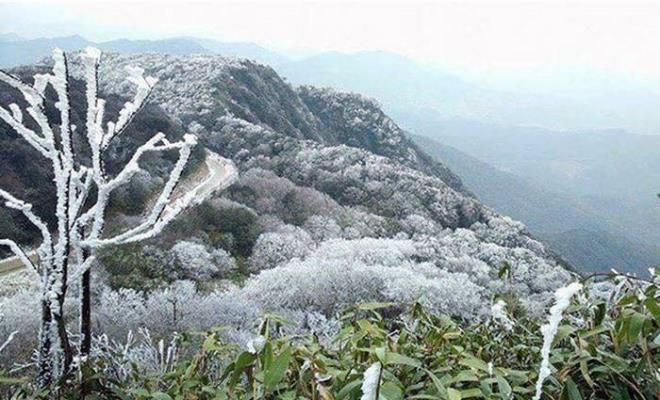 Rét[-]sâu[-]và[-]khô[-]tác[-]hại[-]gì[-]đến[-]đời[-]sống?