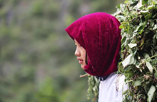 [-]Miền[-]Bắc[-]chuyển[-]rét[-]vào[-]cuối[-]tuần