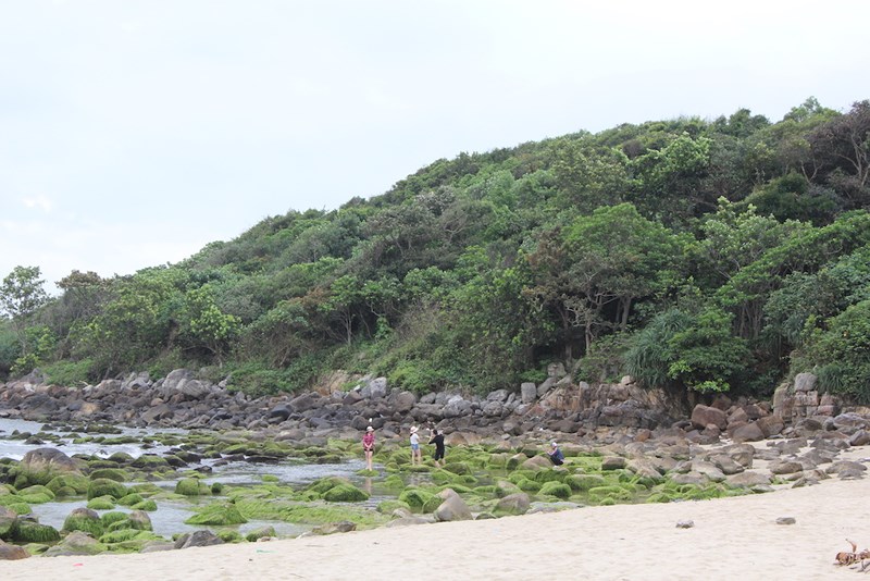 Quận[-]Liên[-]Chiểu[-]đề[-]xuất[-]giữ[-]lại[-]ghềnh[-]đá[-]Nam[-]Ô