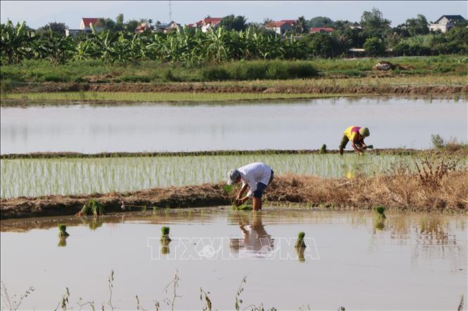 Góp[-]ý[-]hoàn[-]thiện[-]dự[-]thảo[-]Nhiệm[-]vụ[-]lập[-]Quy[-]hoạch[-]sử[-]dụng[-]đất[-]quốc[-]gia
