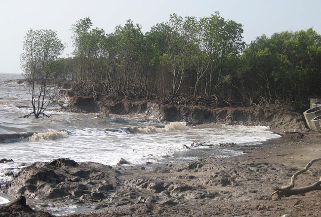 Quy[-]hoạch[-]biển[-]và[-]cải[-]thiện[-]điều[-]kiện[-]môi[-]trường[-]vùng[-]bờ[-]Đồng[-]bằng[-]sông[-]Cửu[-]Long