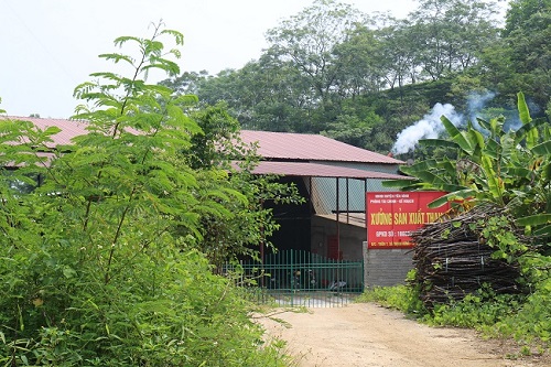 Yên[-]Bái:[-]Tạm[-]dừng[-]hoạt[-]động[-]cơ[-]sở[-]sản[-]xuất[-]than[-]sinh[-]học[-]gây[-]ô[-]nhiễm[-]môi[-]trường[-]