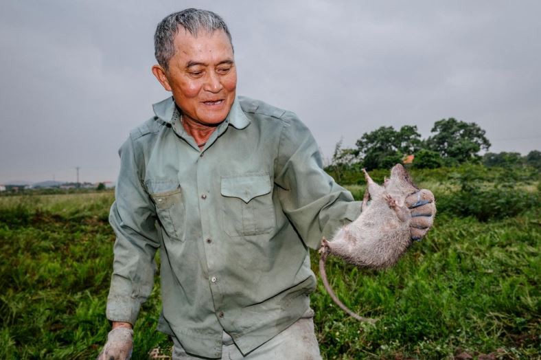 Đặc[-]sản[-]thịt[-]chuột[-]của[-]Việt[-]Nam[-]lên[-]tạp[-]chí[-]National[-]Geographic