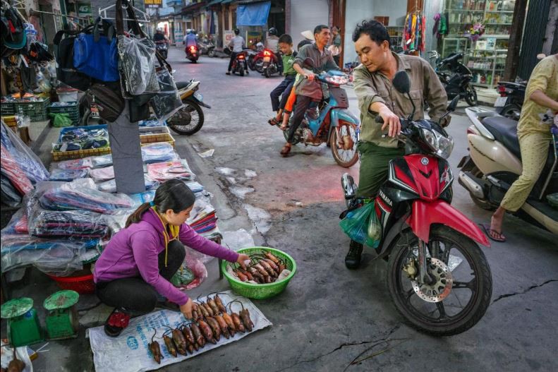 Đặc[-]sản[-]thịt[-]chuột[-]của[-]Việt[-]Nam[-]lên[-]tạp[-]chí[-]National[-]Geographic