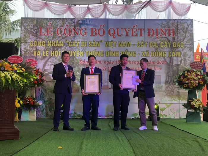 Hai[-]cây[-]cổ[-]thụ[-]gần[-]200[-]năm[-]tuổi[-]ở[-]Hải[-]Dương[-]được[-]công[-]nhận[-]Cây[-]Di[-]sản[-]Việt[-]Nam