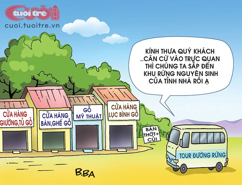 Tour[-]tham[-]quan[-]rừng...[-]nội[-]thất