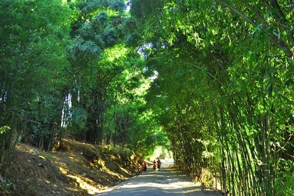 Nhớ[-]lũy[-]tre[-]làng