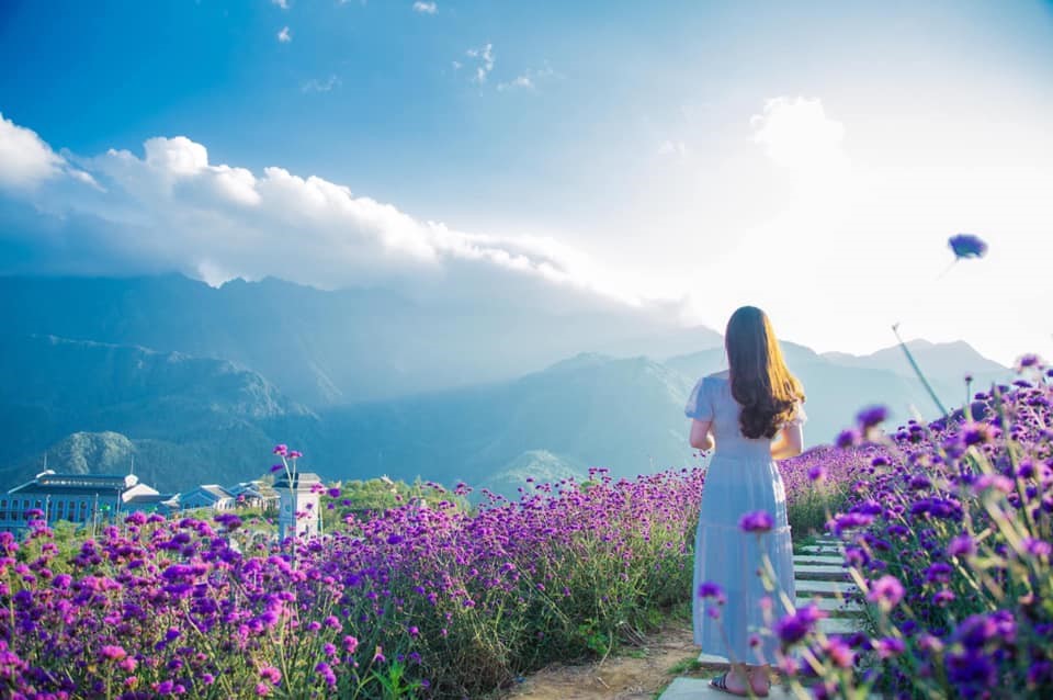 Sun[-]World[-]Fansipan[-]Legend[-]giảm[-]tới[-]50%[-]giá[-]vé[-]cáp[-]treo,[-]“săn[-]mây”[-]mùa[-]này[-]tuyệt[-]đỉnh