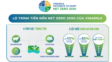  Vinamilk bội thu giải thưởng phát triển bền vững
