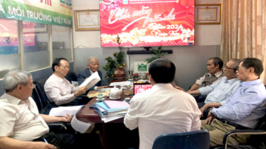  Thêm 36 cây cổ thụ ở 9 tỉnh, thành phố lọt vào danh sách Cây Di sản Việt Nam