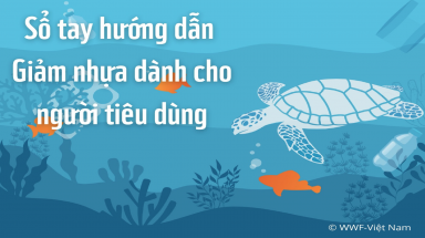  WWF tiếp tục truyền thông, khuyến cáo “giảm nhựa” dành cho người tiêu dùng