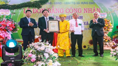  Cây đa hơn 300 tuổi tại thành phố Chí Linh được vinh danh là Cây di sản