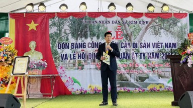  Cây Đa Đình Giải: biểu tượng xanh trường tồn nhận danh hiệu Cây Di sản Việt Nam