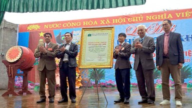 Cây Gạo huyền thoại thôn Tân Mỹ được vinh danh là Cây Di sản Việt Nam
