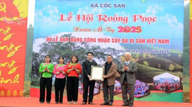  Cây Di sản đầu tiên được công nhận đầu Xuân Ất Tỵ