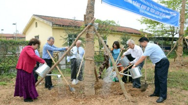  Hậu duệ Cây Di sản nghìn tuổi miền Đông Nam Bộ được trồng trên đất tổ Hùng Vương